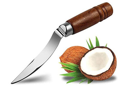 Top 10 Best Coconut Meat Removers of 2026