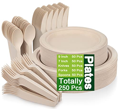 Unves 250 Piece Compostable...
