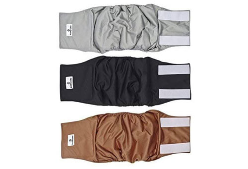 Top 10 Best Belly Bands for Dog of 2024