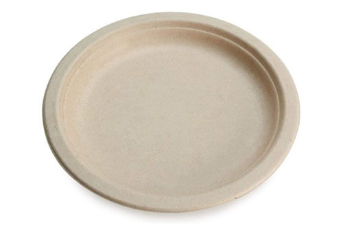 Top 10 Best Compostable Plates of 2024