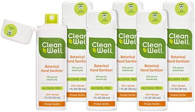 Cleanwell Hand Sanitizer Spray
