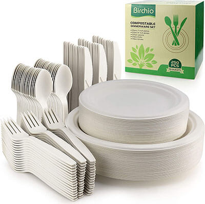 Birchio biodegradable paper plates