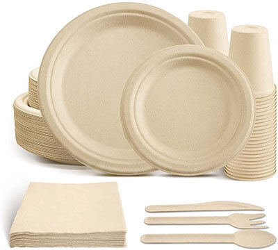 AIRE Compostable Paper Plates Set